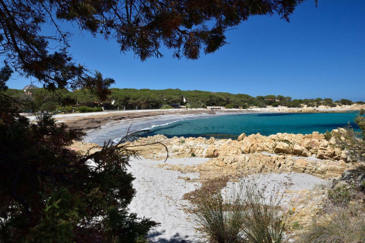 Villa Arancio Cala Liberotto Zewnętrze zdjęcie